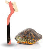 Turtle Cleaning Brush - Gently Remove Dirt from Turtles and Tortoises - Blue by Snout and Shell - Image 10