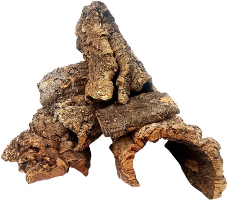 EZ Botanicals Virgin Cork Bark one pound assortment front view showing natural texturized wood pieces for terrariums.