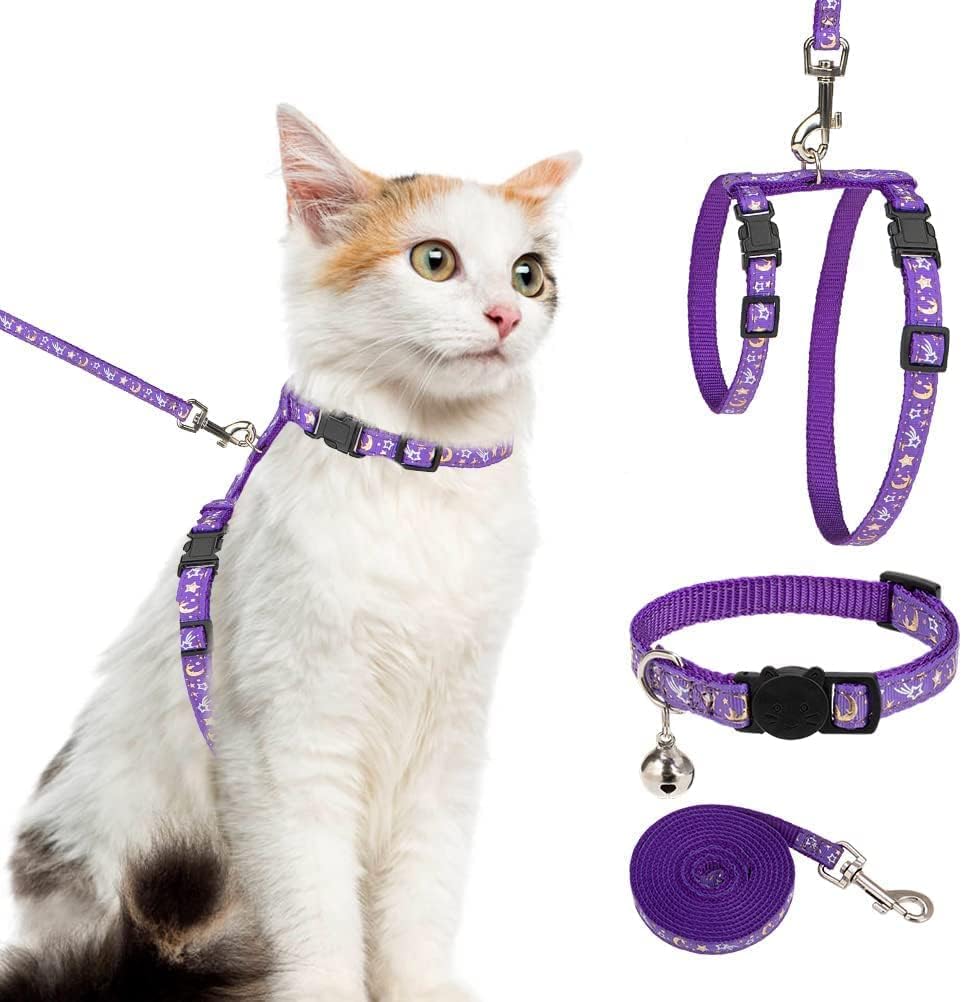 PAWCHIE cat harness and leash set front view showing luminous moon pattern