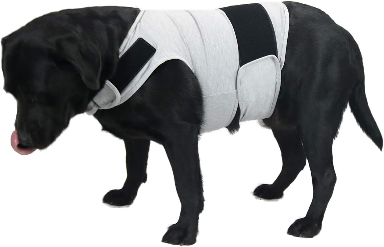 Comfort Dog Anxiety Relief Coat, Dog Anxiety Calming Vest Wrap for Thunderstorm,Travel,4th of July Fireworks,Vet Visits,Separation Anxiety Relief for Dogs (S, Rose) - Image 9