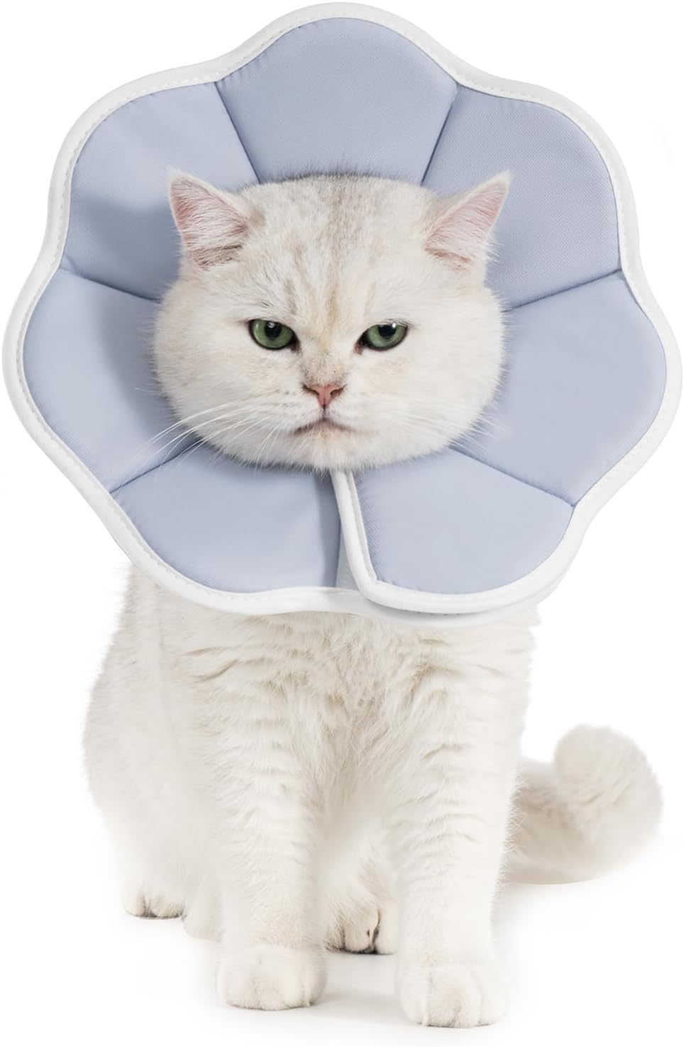 Avont Soft Cat Recovery Cone Collar, Adjustable Lightweight Kitten E-Collar for Small Dogs, Comfortable Neck Donut Stop Licking Scratching After Surgery -Strawberry(M) - Image 9