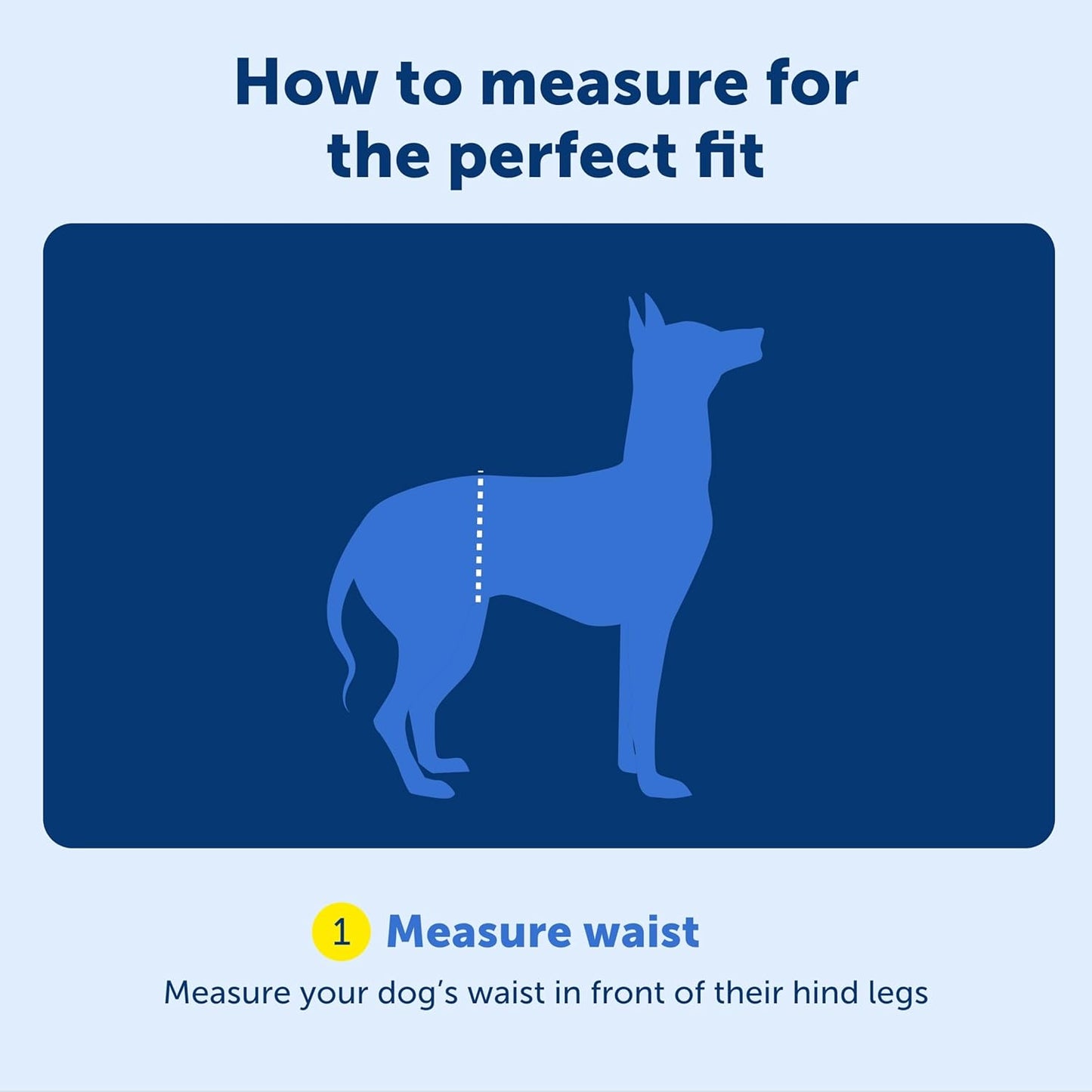PetSafe CareLift adjustable shoulder strap for owners