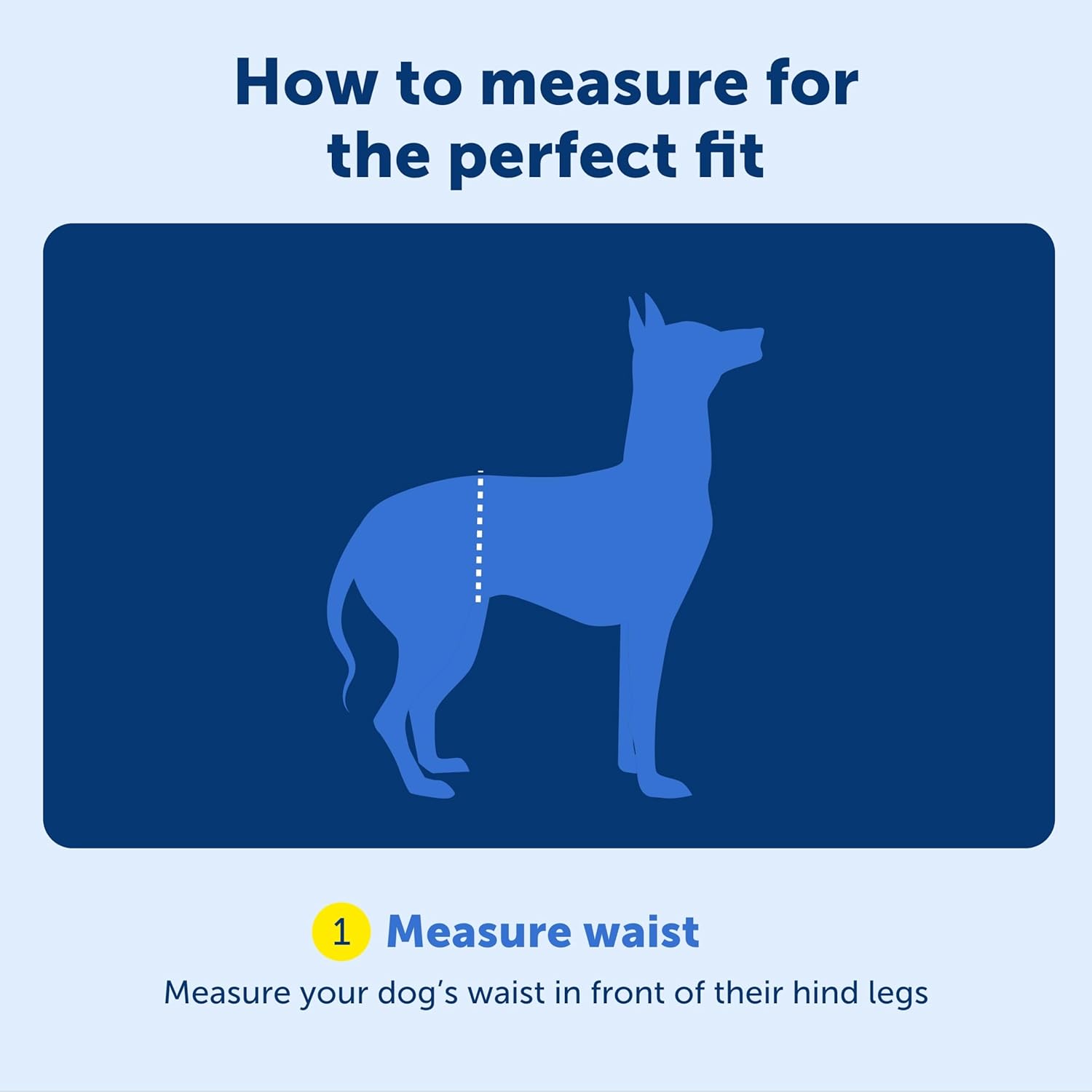 PetSafe CareLift adjustable shoulder strap for owners