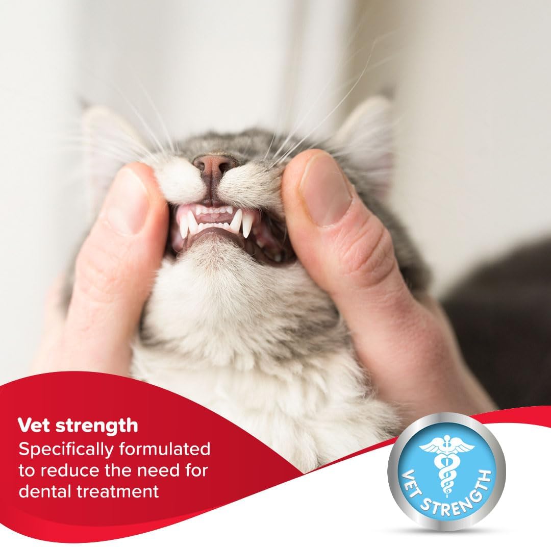 Liver flavor dog and cat oral care gel