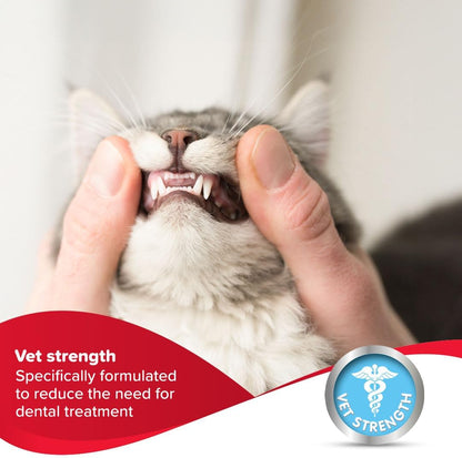Close up of Beaphar enzyme dental gel 100g for pet oral hygiene