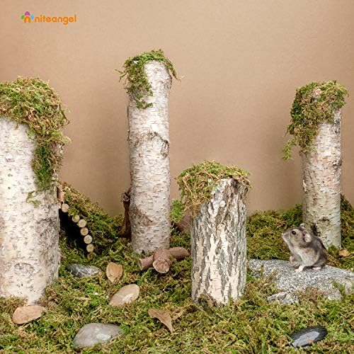 Niteangel 5L Forest Moss Soft Natural Moss Bedding Nesting for Dwarf Syrian Hamsters, Gerbils, mices, Degus or Other Small Animal - Image 3