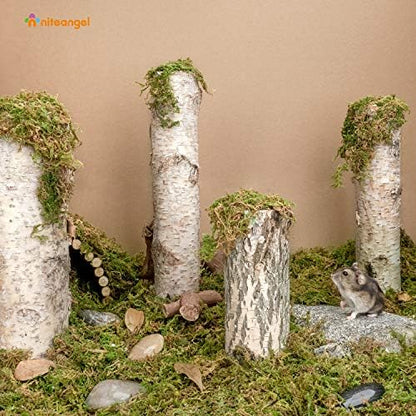 Niteangel 5L Forest Moss Soft Natural Moss Bedding Nesting for Dwarf Syrian Hamsters, Gerbils, mices, Degus or Other Small Animal - Image 3