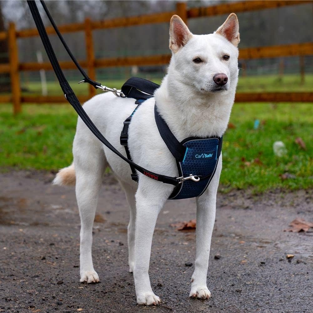 Side profile of CarSafe harness for secure car travel