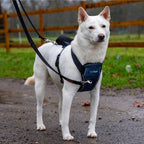 Side profile of CarSafe harness for secure car travel