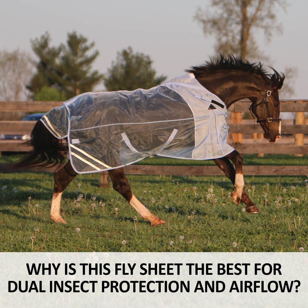 Schneiders equine protective blanket highlighting the SilverTek anti-rub lining on the chest area.
