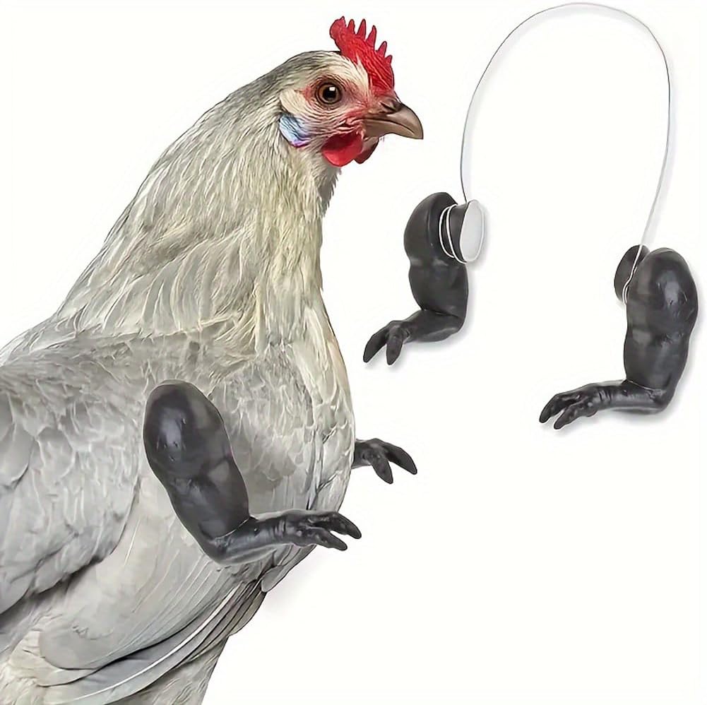 Logutia funny chicken arms front view on a hen for social media photos