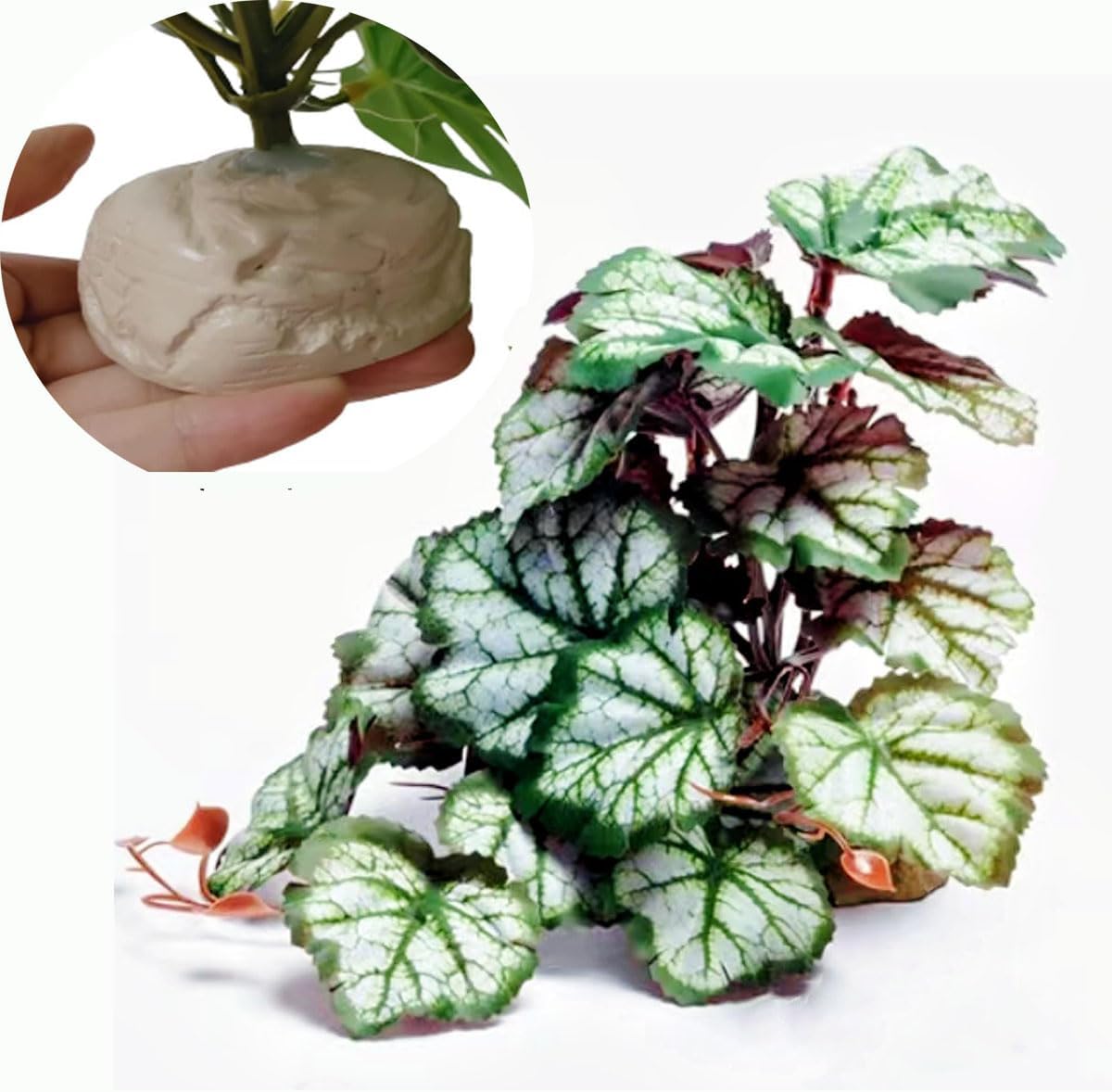 Reptile Plants for Terrarium Decor,Amphibian Habitat Decor,Artificial Plants for Gecko Chameleon Snake Tortoise Tank Accessories with Base (Monstera deliciosa) - Image 11