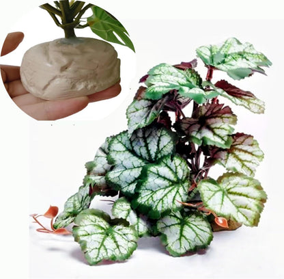 Reptile Plants for Terrarium Decor,Amphibian Habitat Decor,Artificial Plants for Gecko Chameleon Snake Tortoise Tank Accessories with Base (Monstera deliciosa) - Image 11