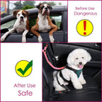 Lukovee dog seat belt connected to a pet harness