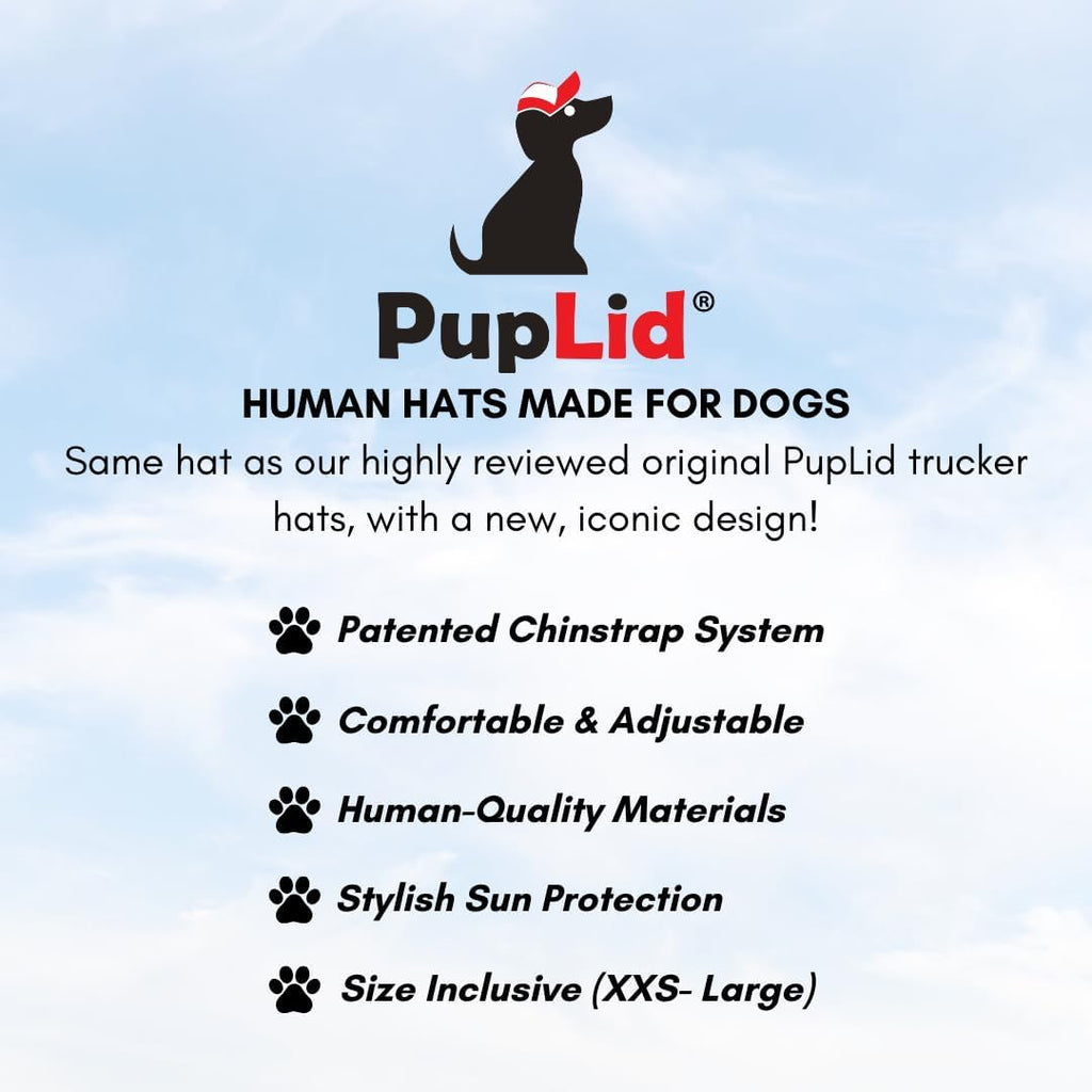 Dog wearing black PupLid trucker hat outdoors