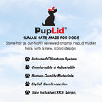 Dog wearing black PupLid trucker hat outdoors