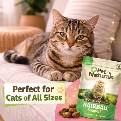Vet-formulated cat shedding control chews with clear psyllium husk and zinc product facts.