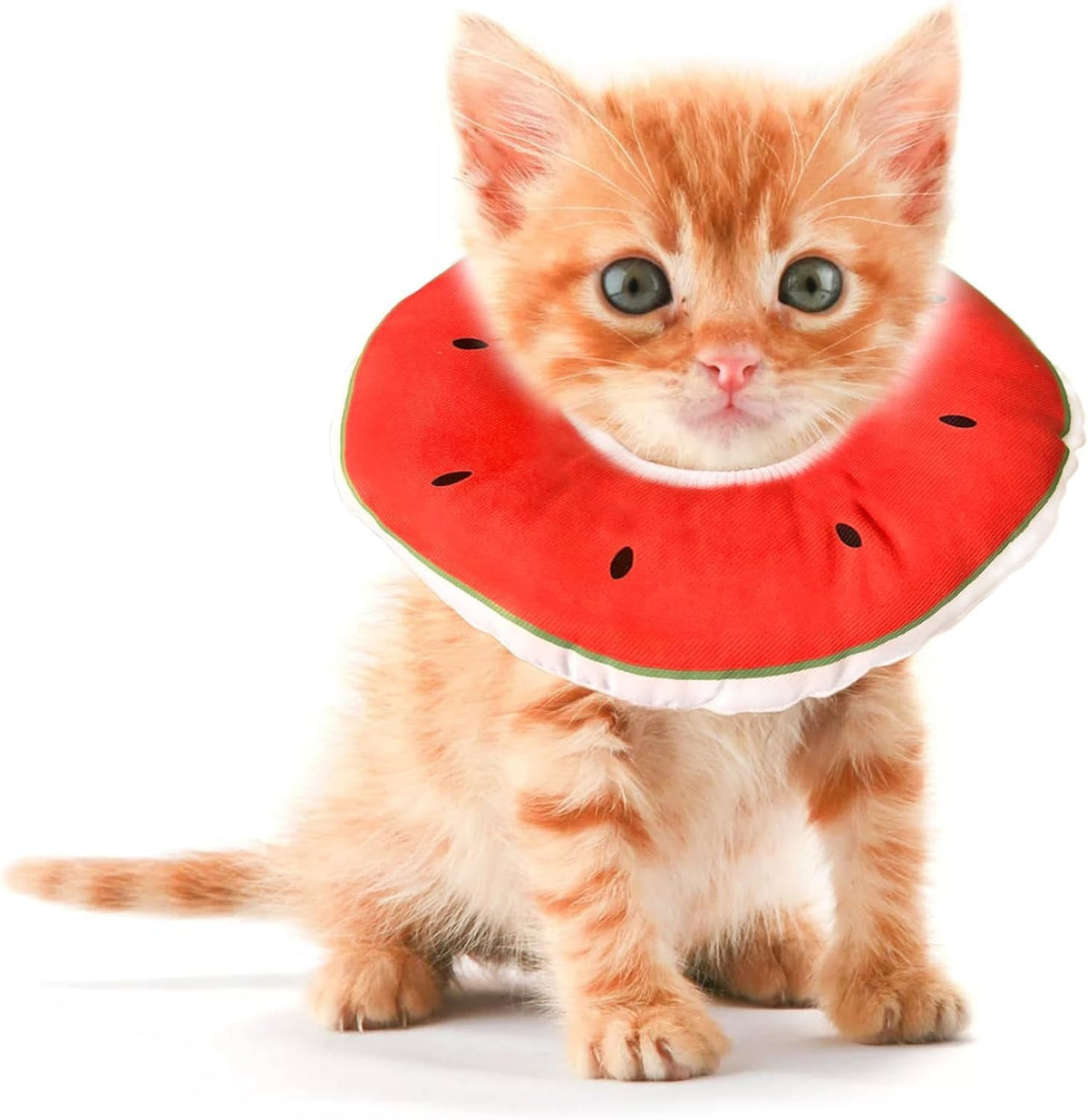 Jevnd plush anti licking cat neck collar packaging visual showcase
