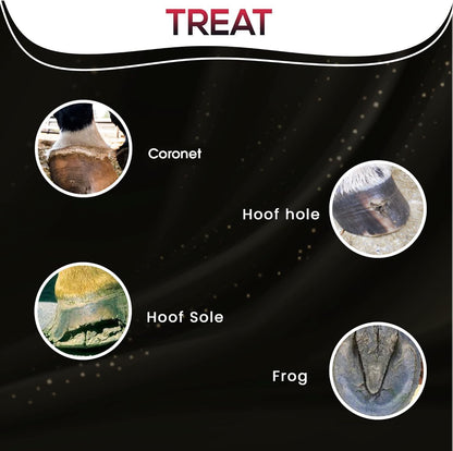Premium USA imported horse hoof care antiseptic barrier spray close up shot