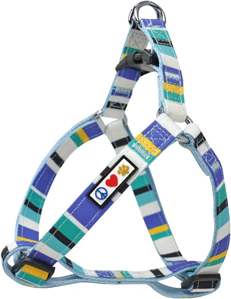 Pawtitas multicolor step-in dog harness blue teal yellow front view