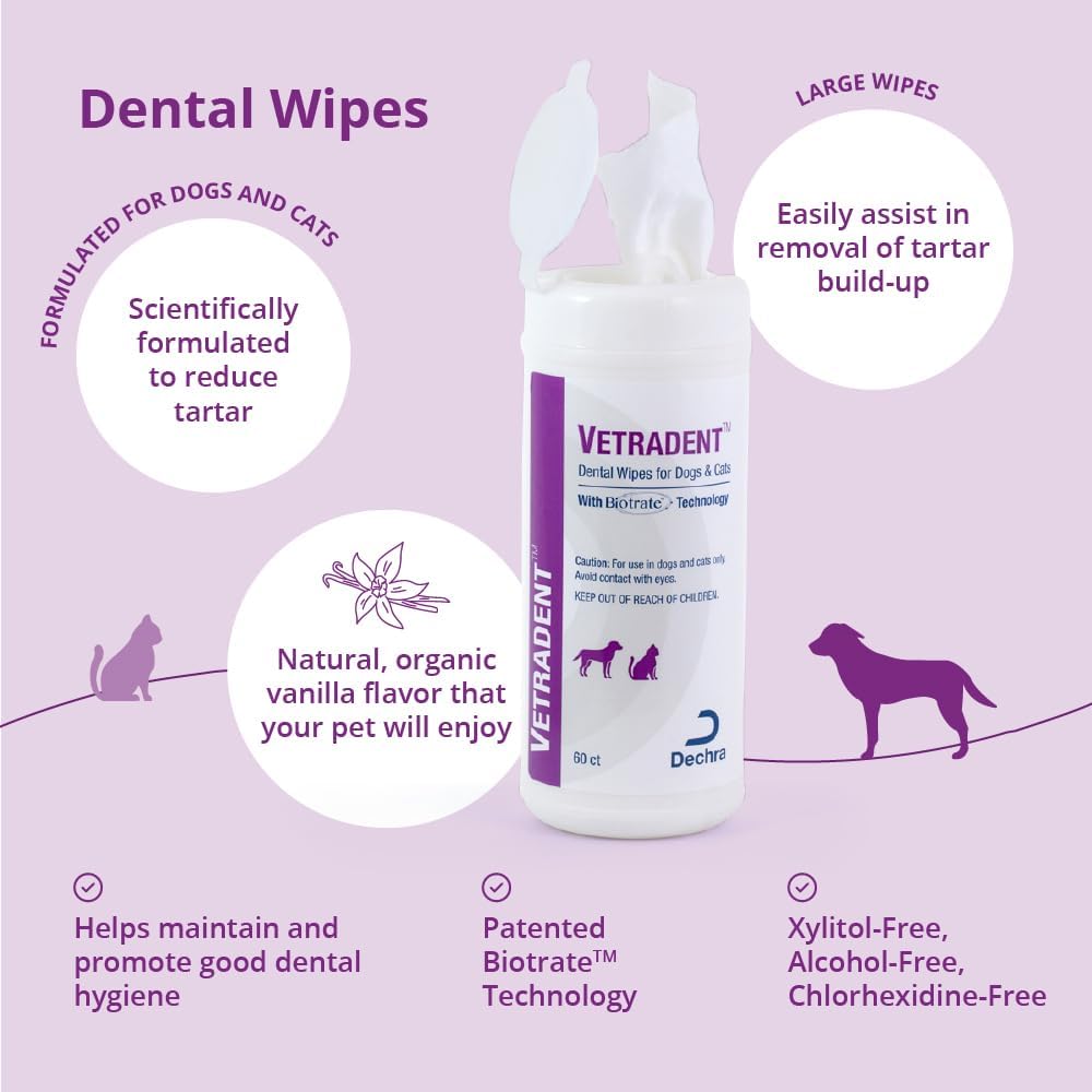Back label of Dechra Vetradent dental wipes for dogs and cats showing detailed usage instructions and ingredients.