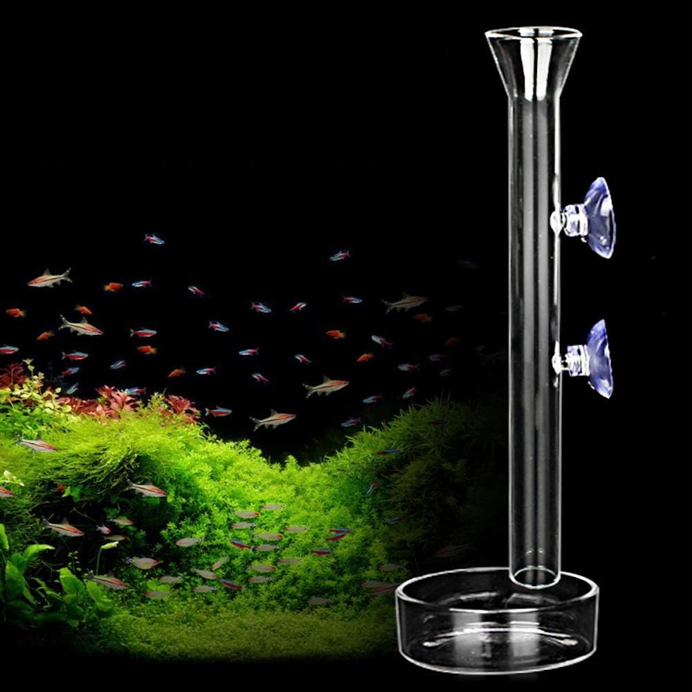 AnxunJim glass shrimp feeding tube front view in aquarium