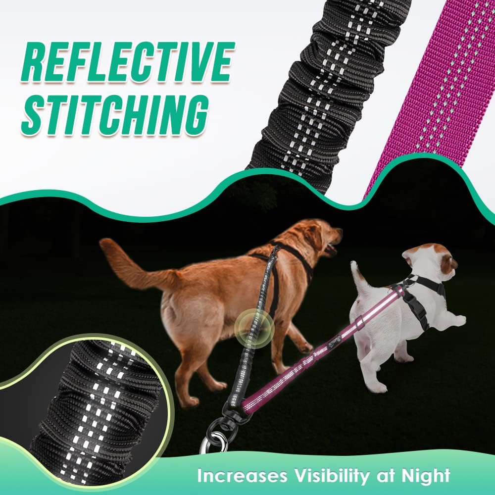 2 in 1 double dog coupler connected to a car seat belt for travel safety.