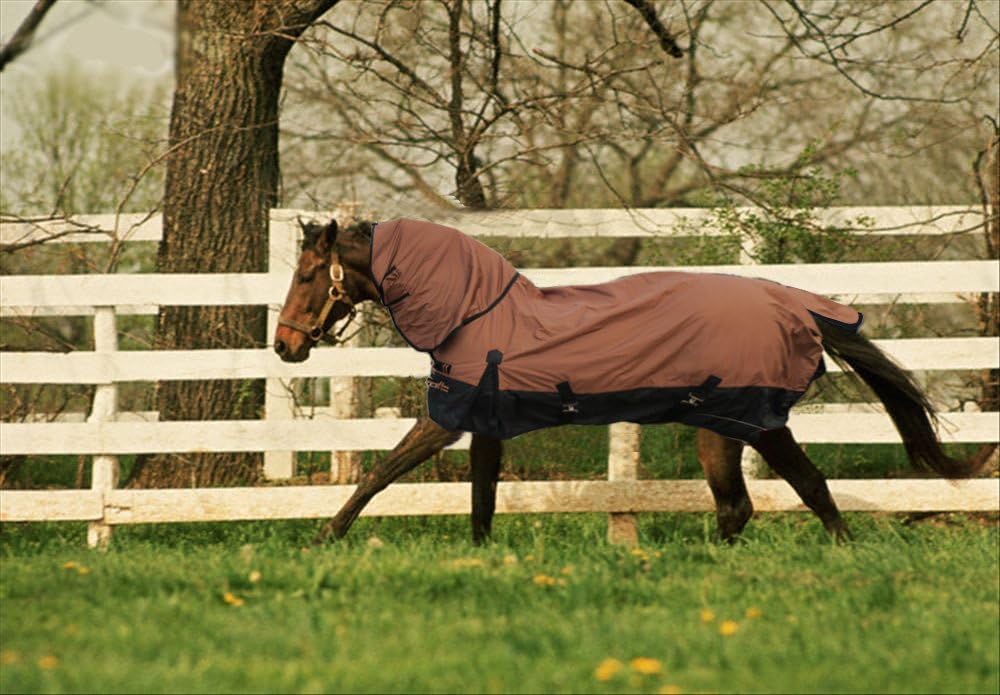 Hilason horse sheet chest buckle adjustment detail