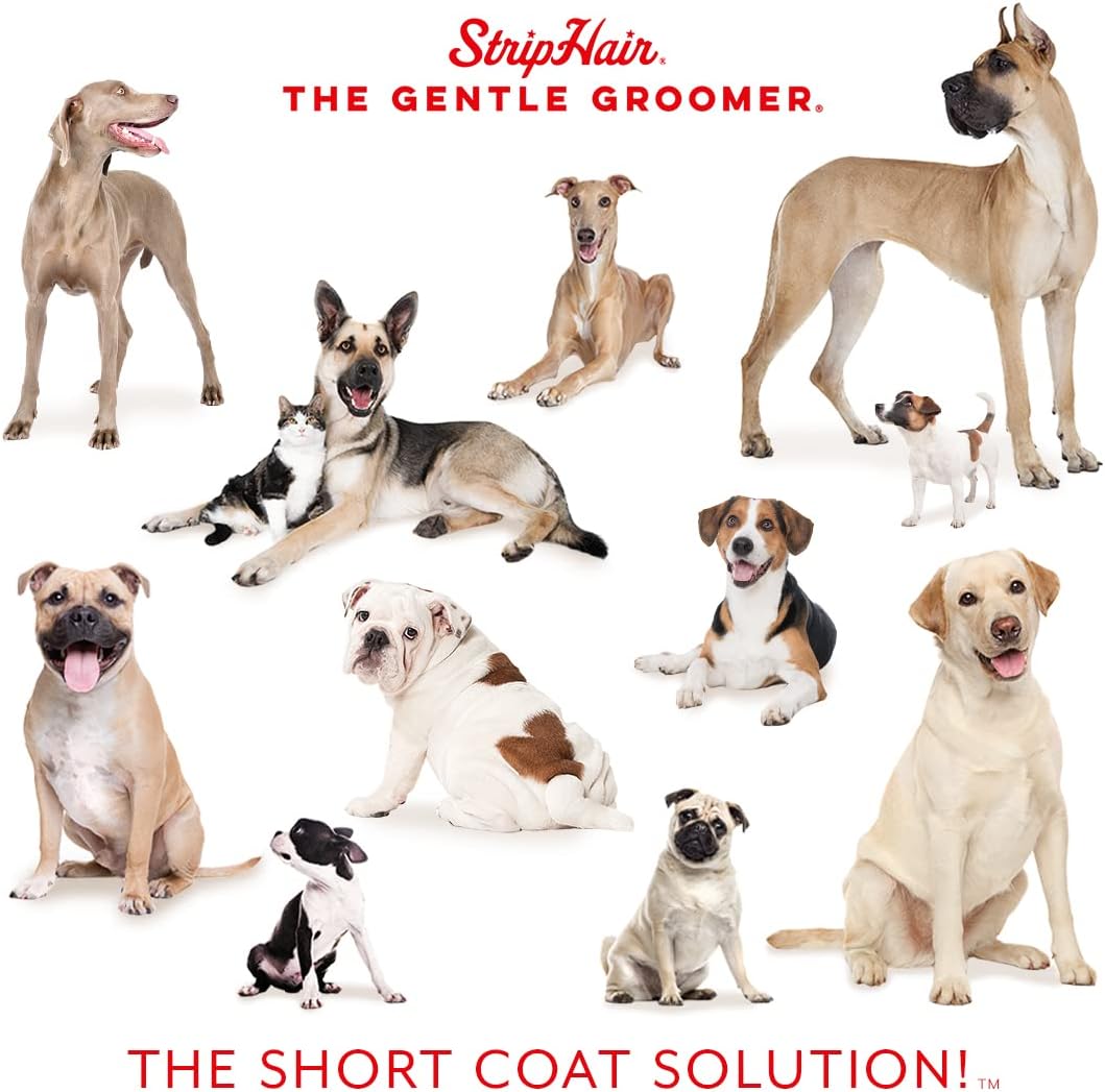 StripHair gentle groomer for dogs and cats close up