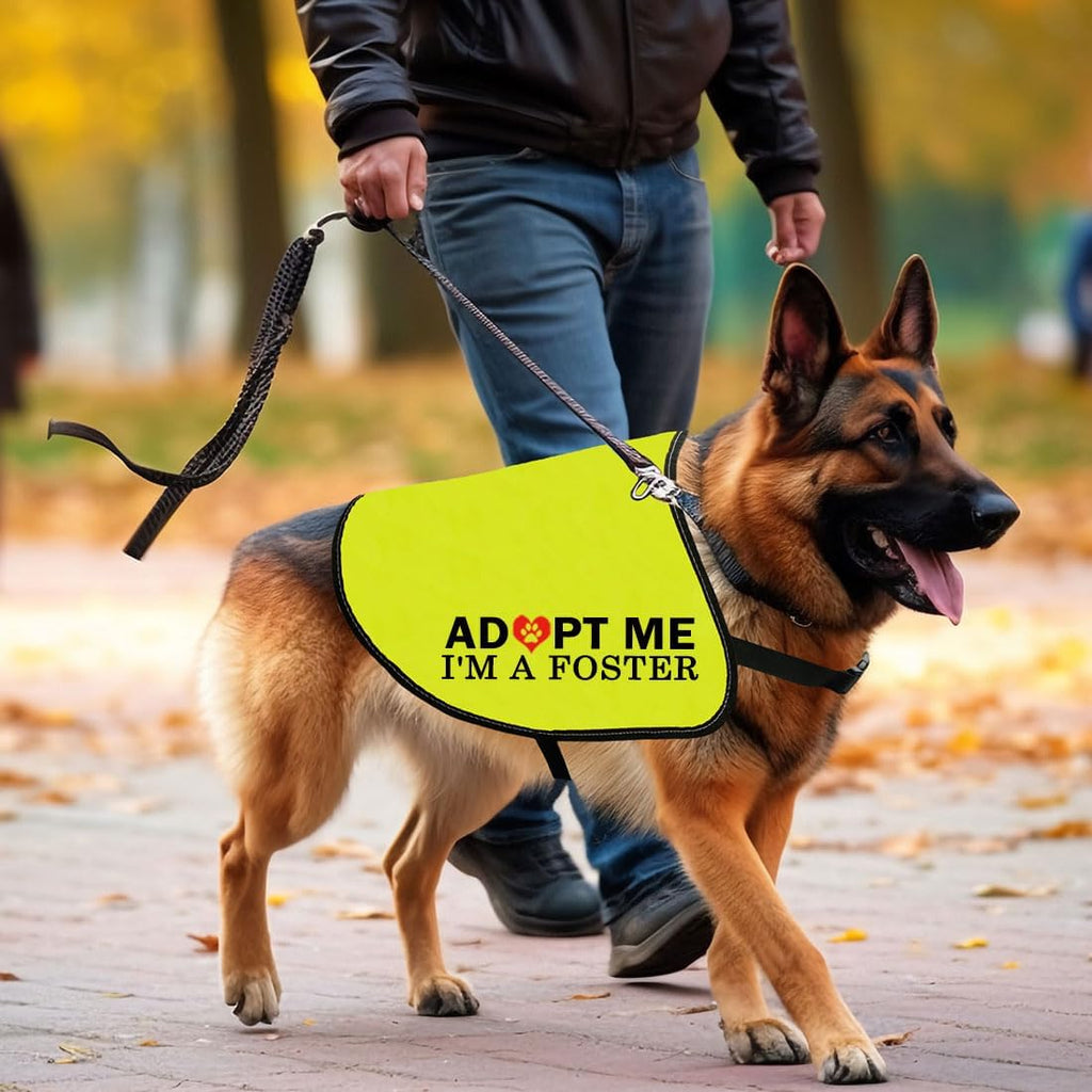 High visibility foster dog apparel for adoption awareness