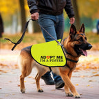High visibility foster dog apparel for adoption awareness