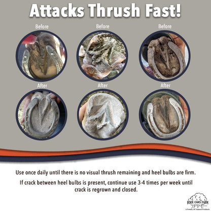 Non-caustic kaolin clay powder for horse scratches and coat fungus protection