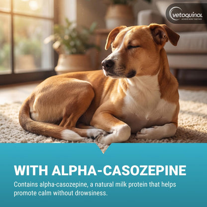Vetoquinol Zylkene non-drowsy calming supplement for small dogs showing ingredients panel