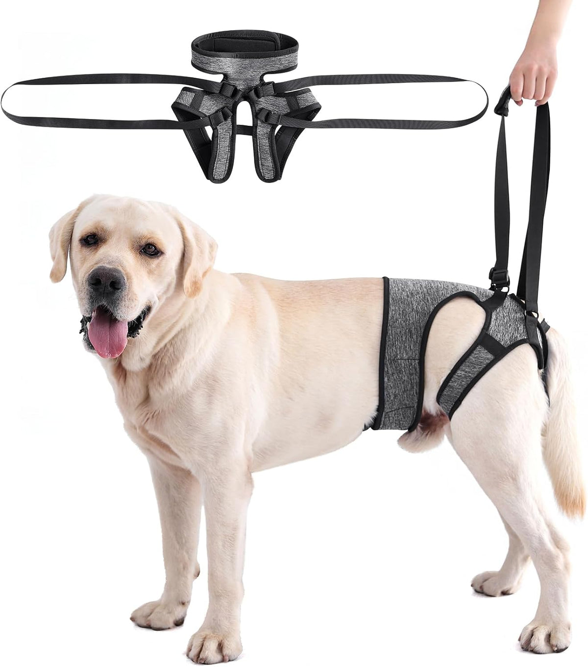 Lianzimau dog walking aid for senior and injured pets