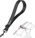 Safe pet travel setup with Pawaboo seatbelt