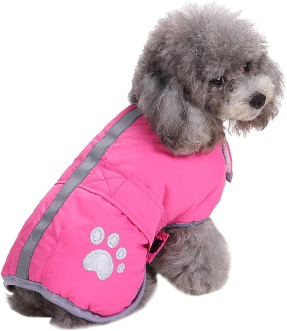Queenmore reversible waterproof dog vest front view