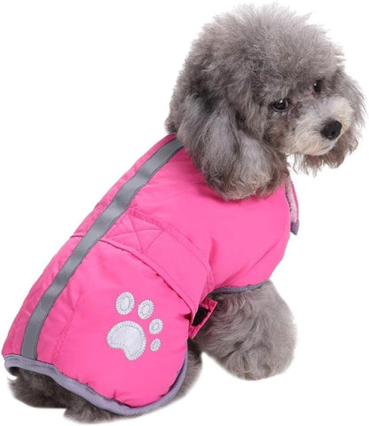 Queenmore reversible waterproof dog vest front view