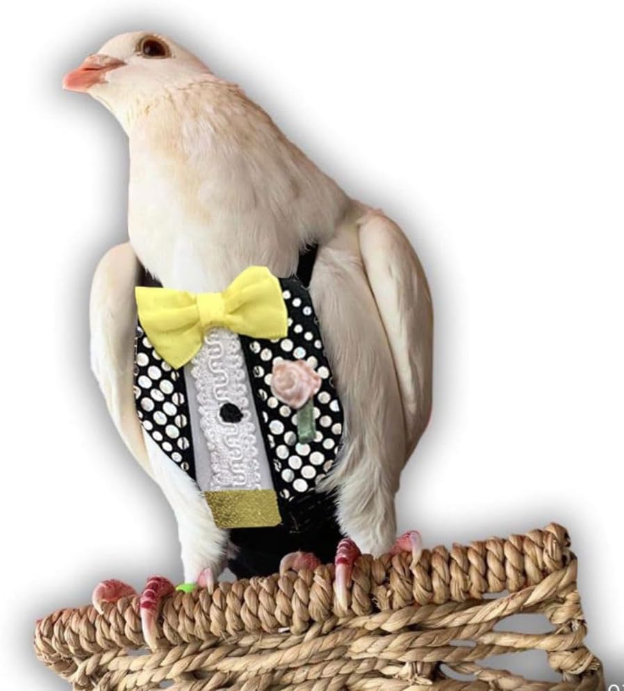 Bev's Bird Boutique Regular Flyper Adjustable Bird Diaper | Reusable, Washable Cloth | Comfort Fit for Parrot, Cockatiels, & Other Small Birds | Fashionable Avian Accessories, Dungaree Jeans, Size 7 - Image 9