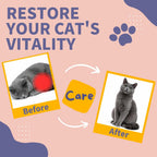 Pink and white morvequa cat dewormer bottle showcasing the weight dosing guide