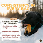 Two pack Bully Bunches Himalayan yak chews for giant dogs