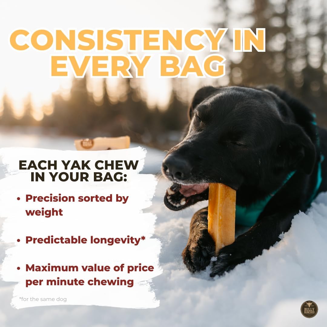Two pack Bully Bunches Himalayan yak chews for giant dogs