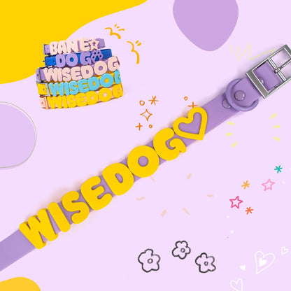 Durable rust proof slide on alphabet tags for pet identification