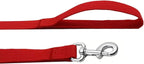 Durable nylon pet walking leash for large dogs showing the comfortable hand loop.