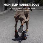 Adjustable velcro strap system on dog footwear