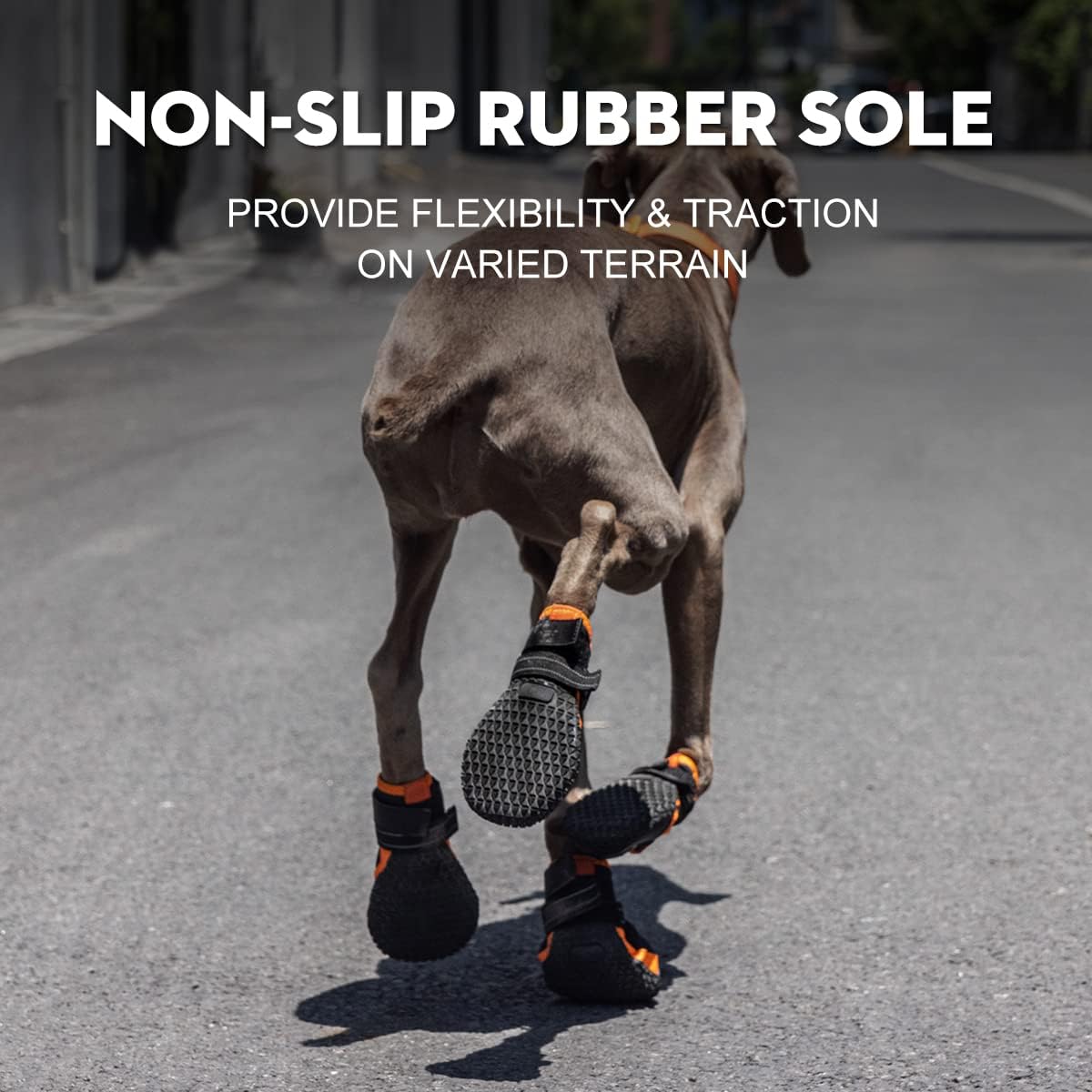 Adjustable velcro strap system on dog footwear