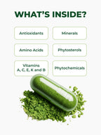 PURA VIDA MORINGA Organic Moringa Capsules, Pure Moringa Leaf Powder Single Origin for Energy, Metabolism & Immune Support, 120ct, 500mg Caps - Image 7