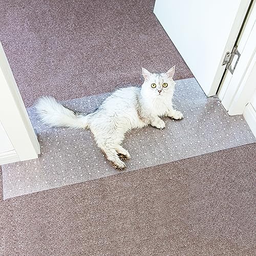 Oroonoko anti scratch under door mat installed on a carpeted doorway to prevent feline claw damage.