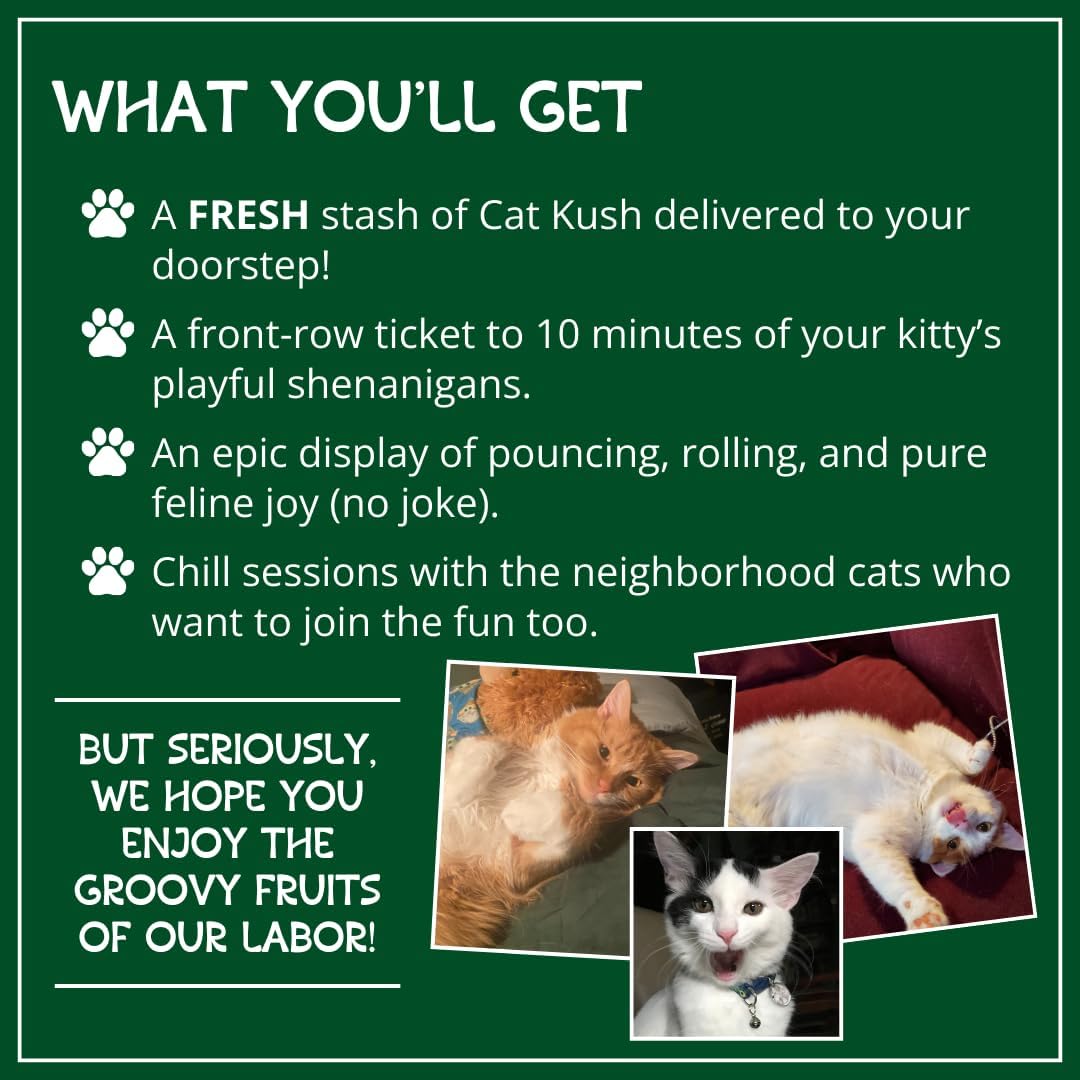 Cat Kush organic catnip lifestyle use with feline toys