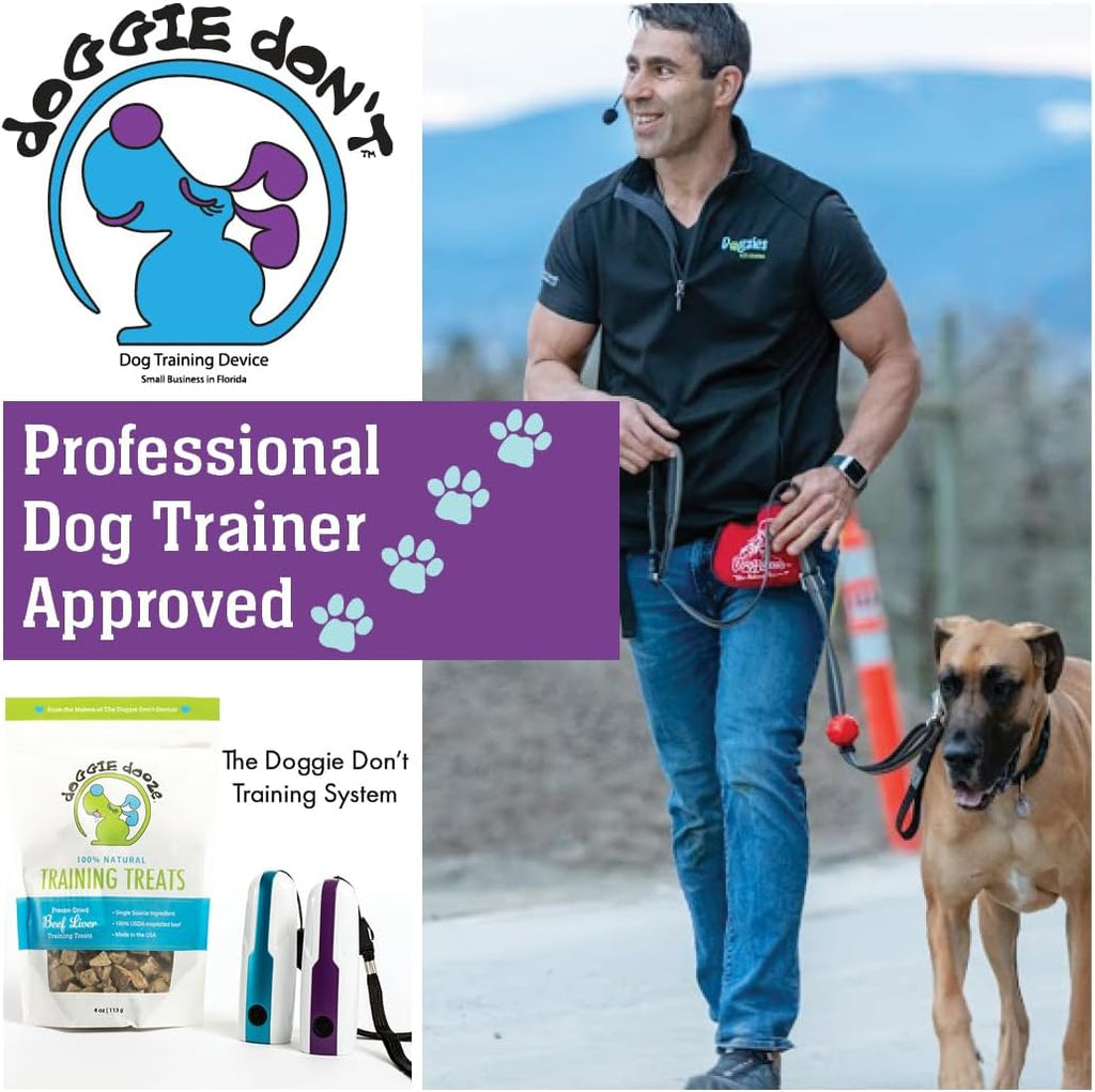 Doggie Don't portable device for leash training