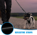 Raipult four to six feet expandable shock absorbing bungee lead